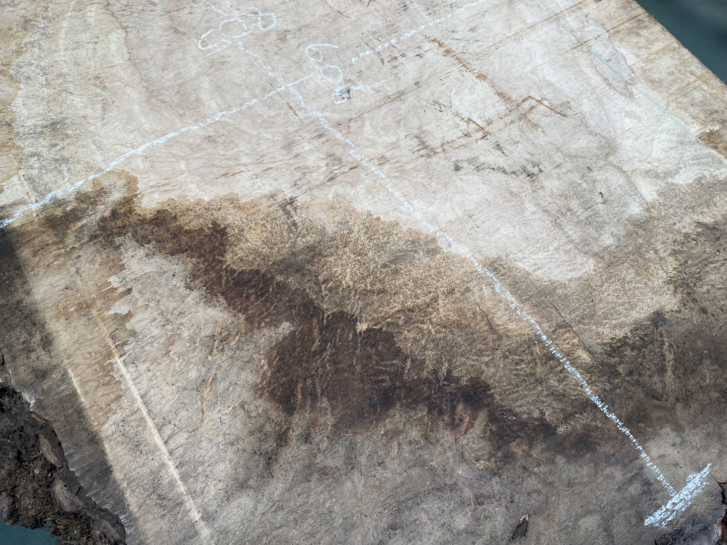 European Ash Circular Waney Edge Slab - Kiln Dried (REF-O6)