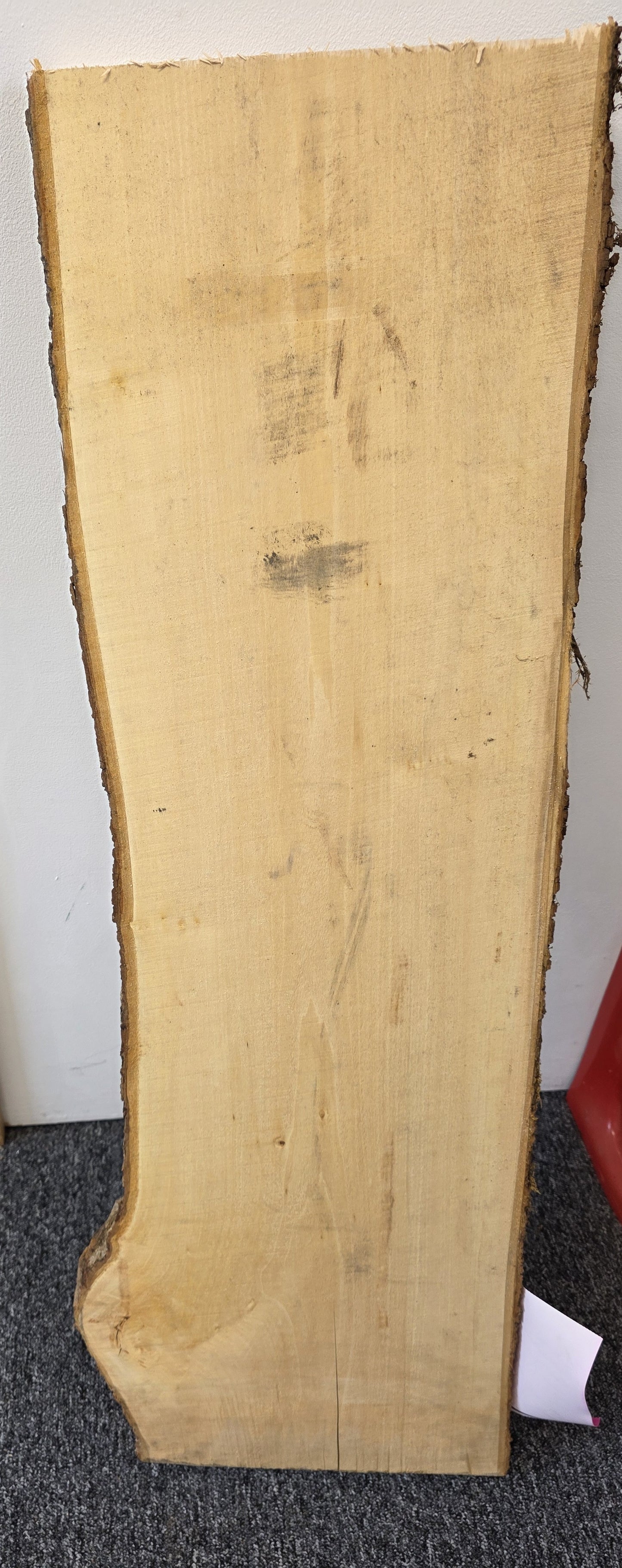 European Sycamore - Live Edge 28mm