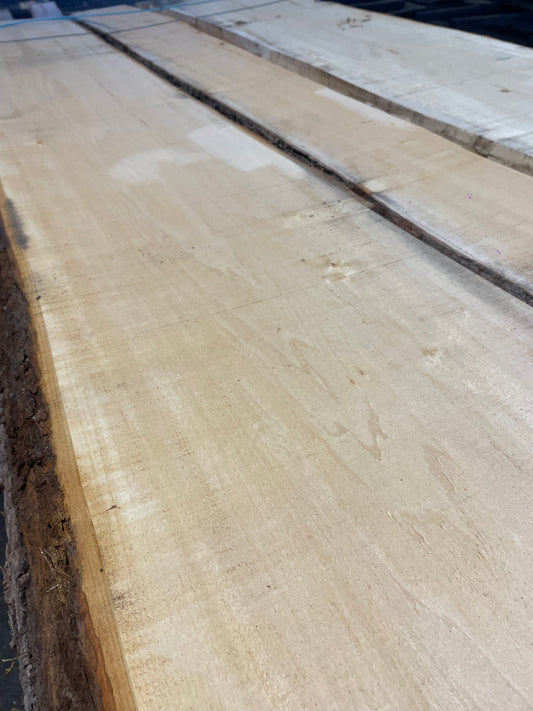 2-Inch Thick European Waney Edge (Live Edge) Lime Boards