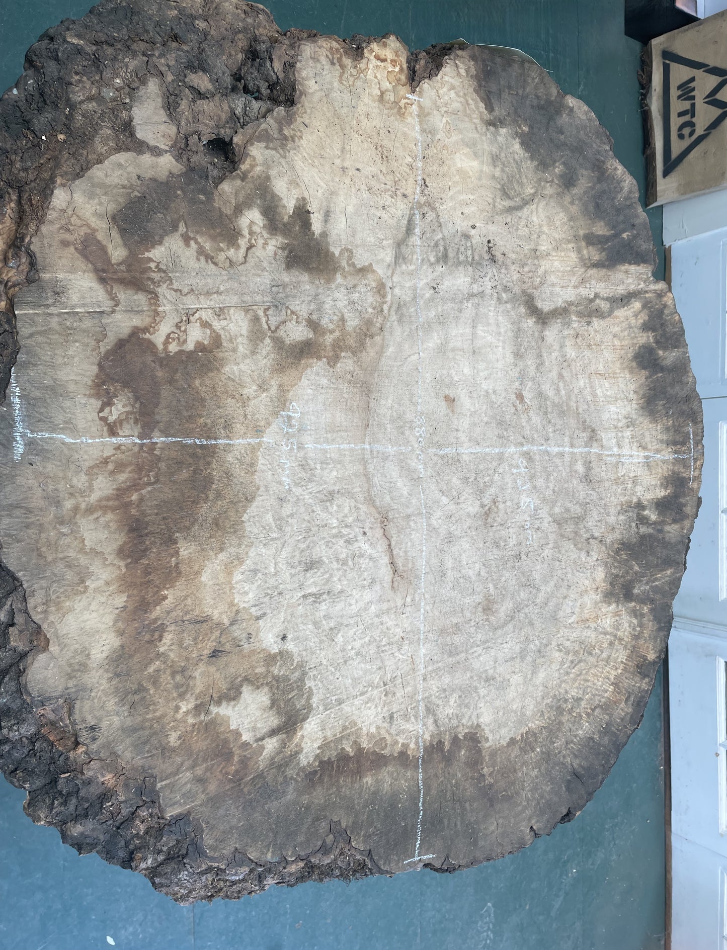 European Ash Circular Waney Edge Slab -  Kiln Dried (REF-10)