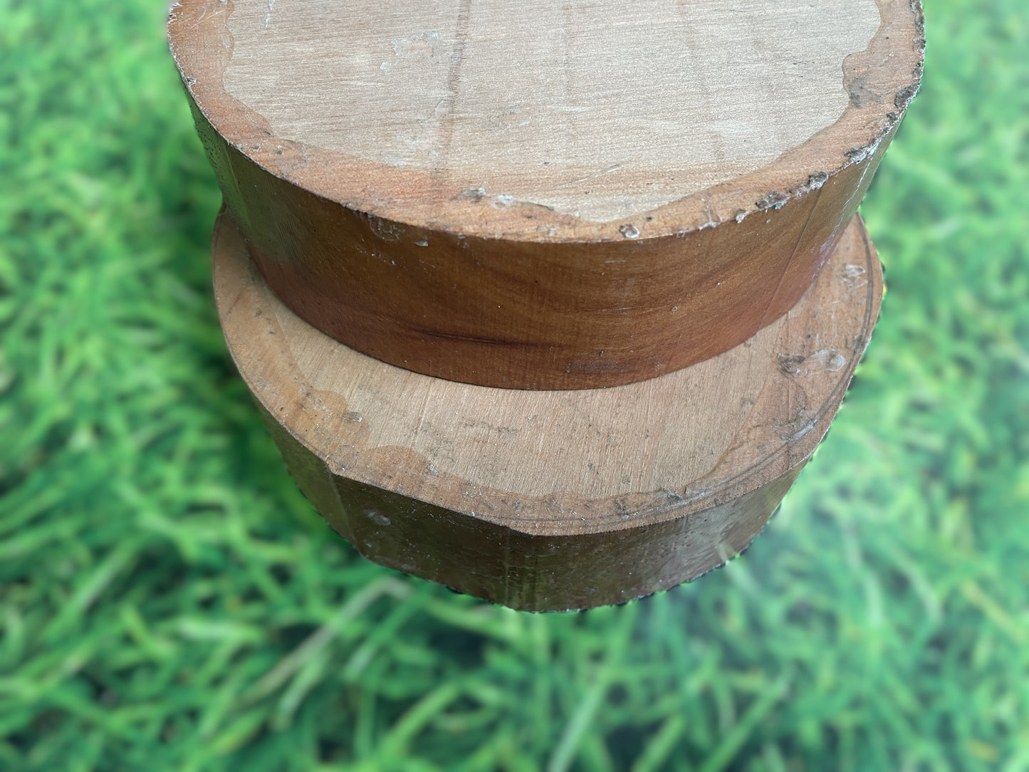 Leatherwood Bowl Blanks - Exceptional Craft Wood - 45mm x 150mm DIa