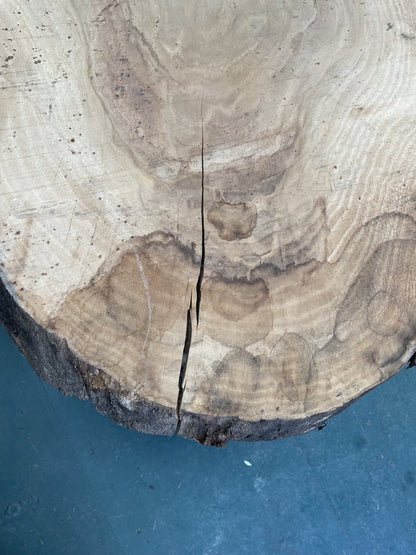 European Oak Circular Waney Edge Slab - Kiln Dried (REF-09)