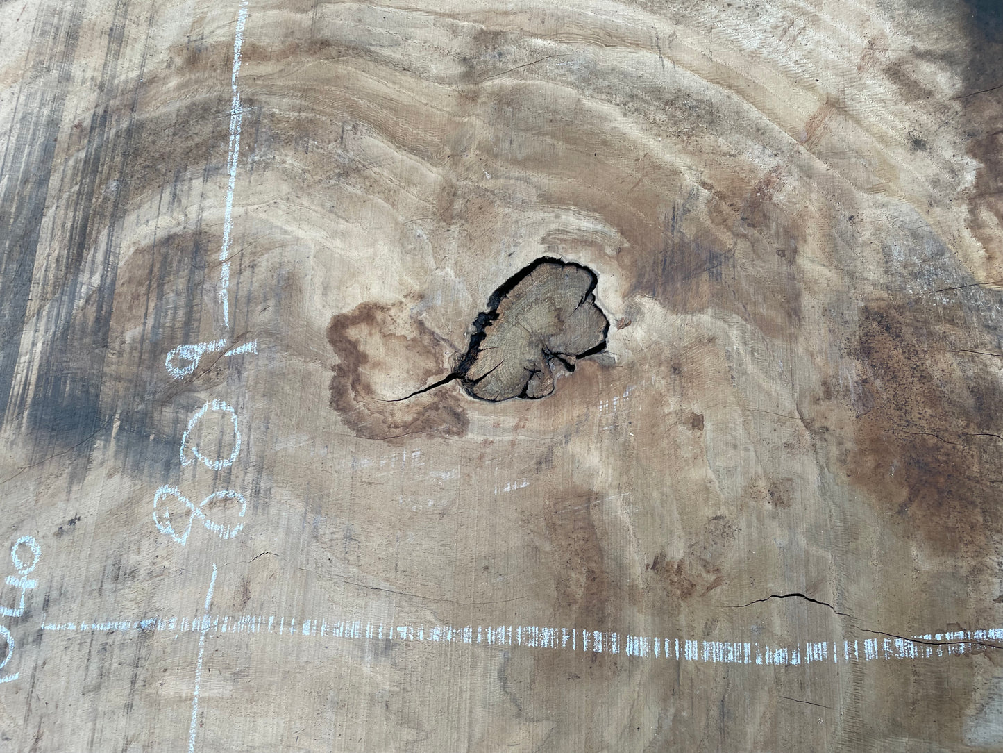 European Oak Circular Waney Edge Slab - Kiln Dried (REF-09)