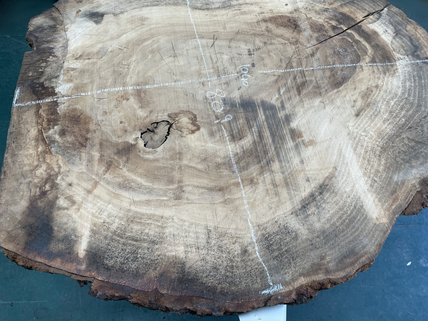 European Oak Circular Waney Edge Slab - Kiln Dried (REF-09)