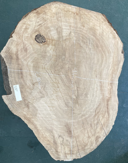 European Oak Circular Waney Edge Slab - Kiln Dried (REF-14)