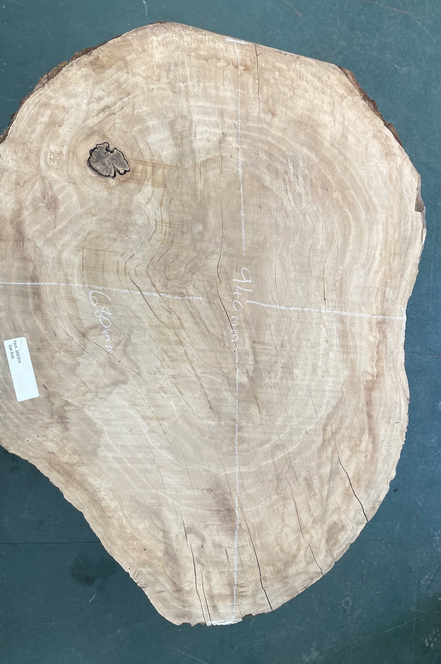 European Oak Circular Waney Edge Slab - Kiln Dried (REF-14)