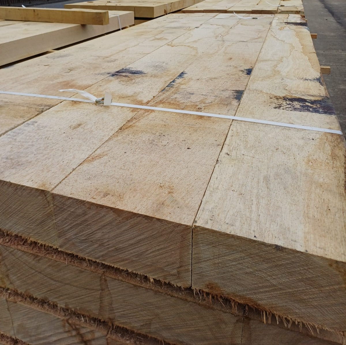 Premium French Oak Sleepers (Quercus robur)