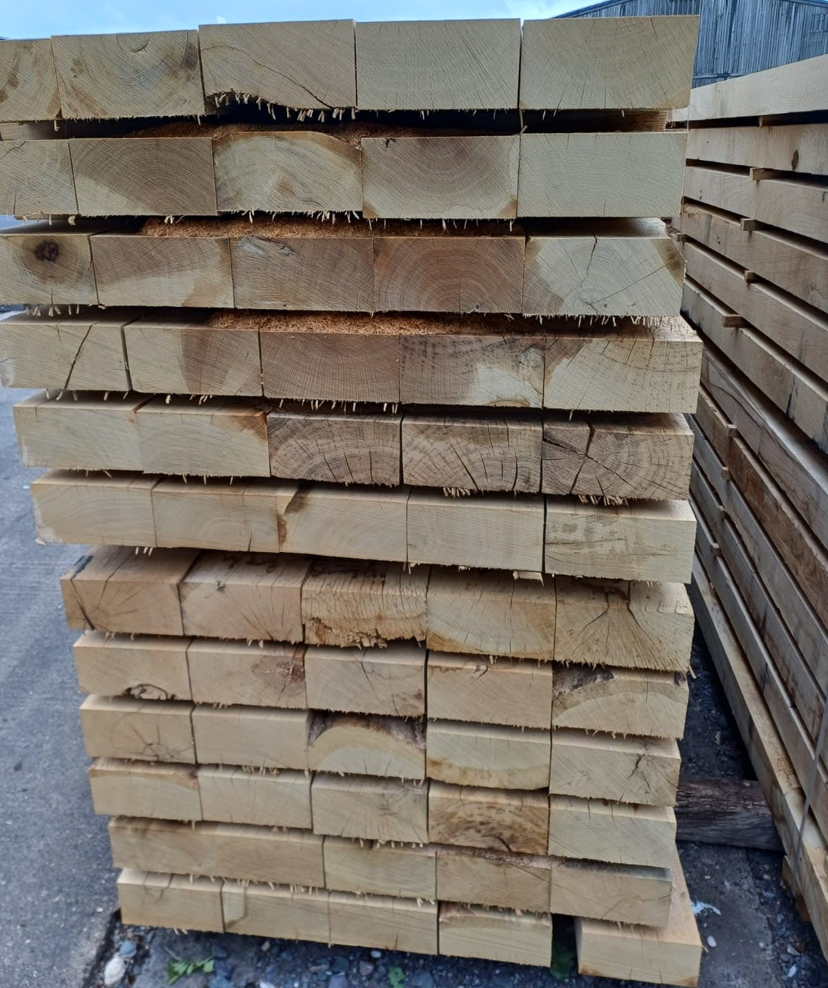 Premium French Oak Sleepers (Quercus robur)