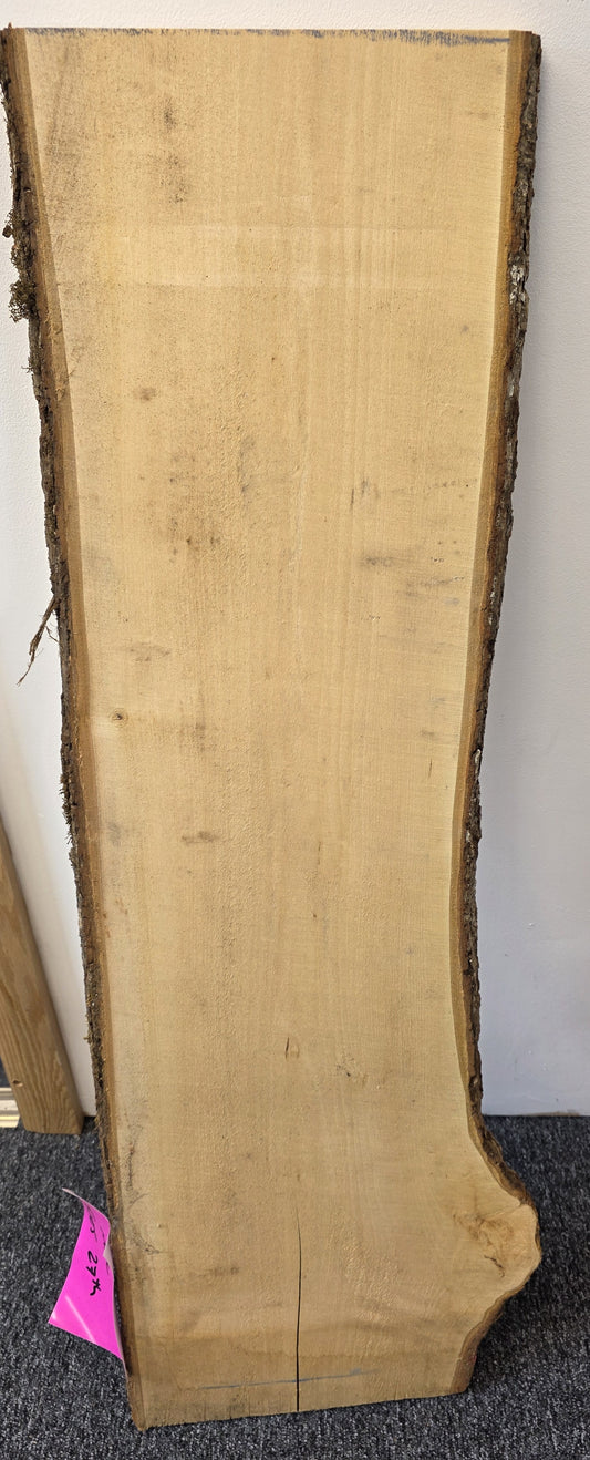European Sycamore - Live Edge 28mm
