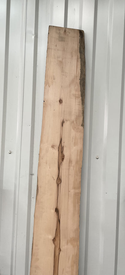 European Walnut Timber Board - Waney Edge | Live Edge - 50mm x 200m x 2.39m