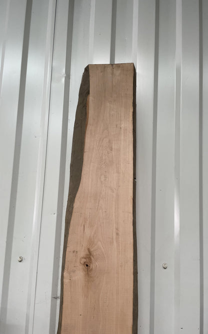 European Walnut Timber Board - Waney Edge | Live Edge - 50mm x 200m x 2.39m